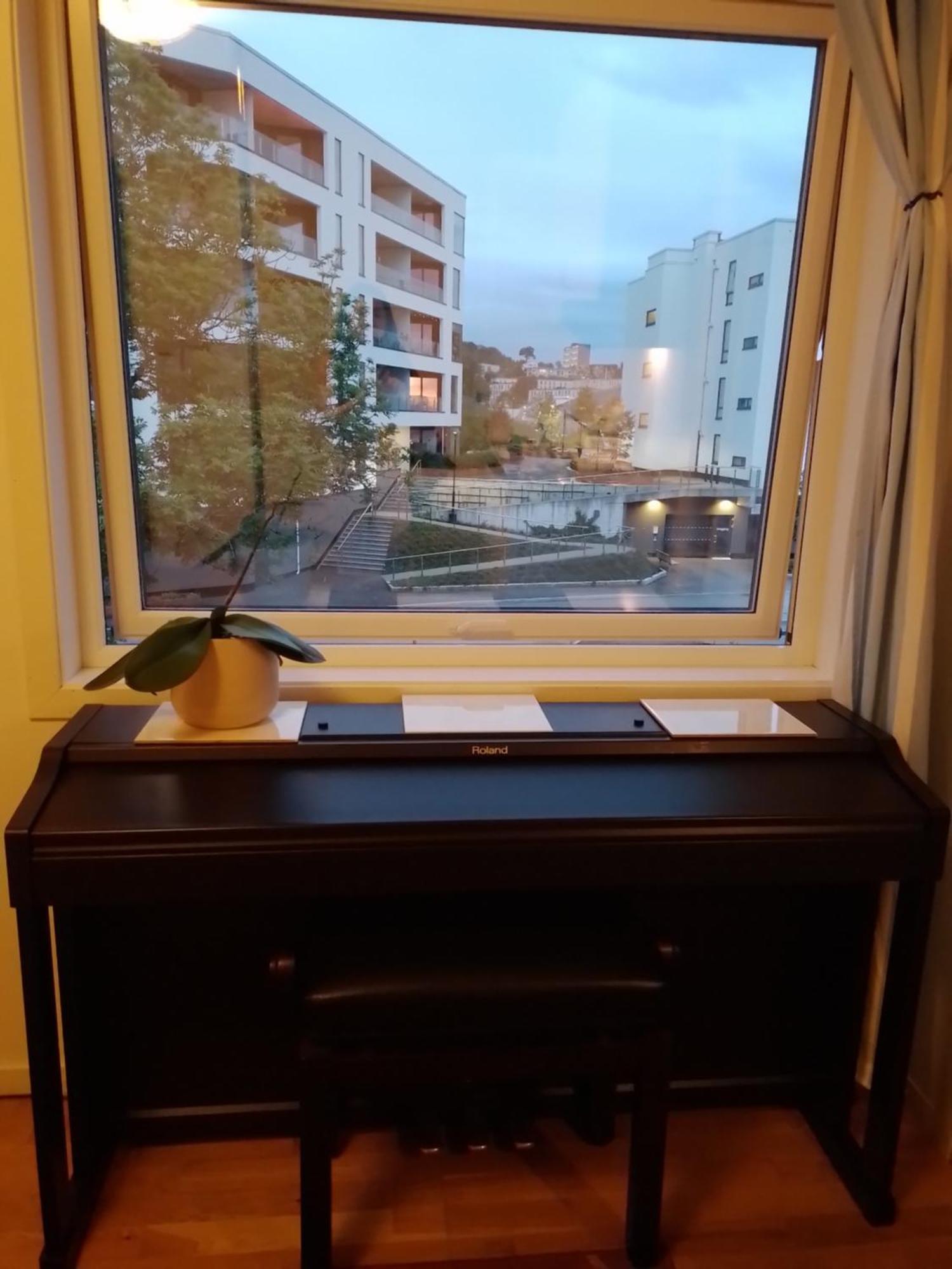 Cosy Near Center *